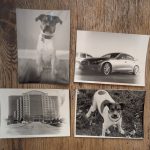 Photographic prints